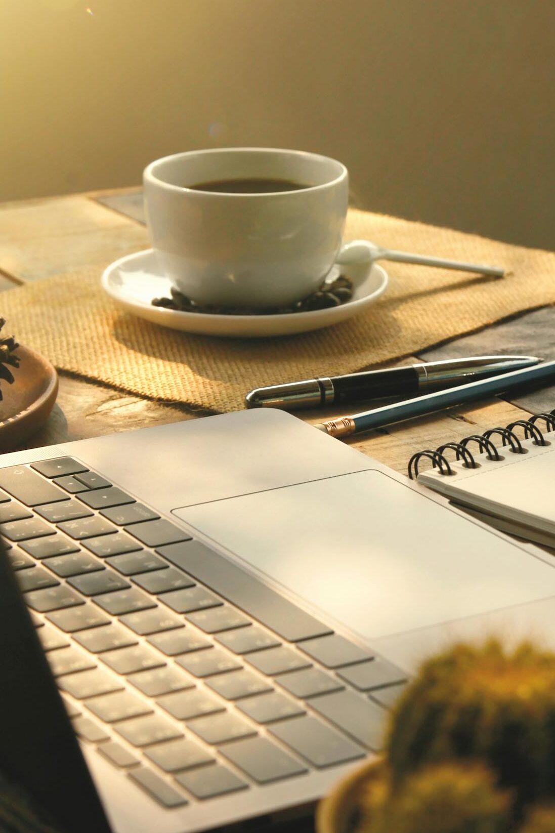 Warm sunlit desk with laptop, coffee, notebook, and cactus — a peaceful workspace for remote bookkeeping and small business support.